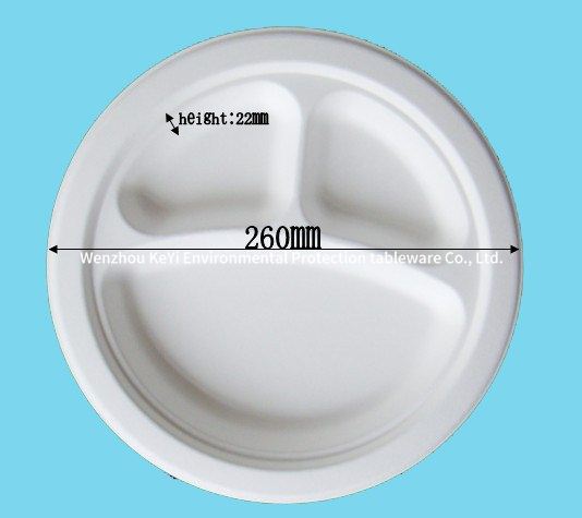 Biodegradable food plate 10in 3 compartment